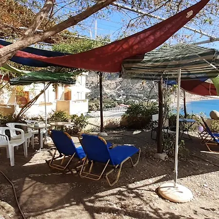 Stelios Agia Galini